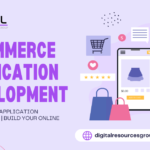 E-Commerce Application Development | Build Your Online Store